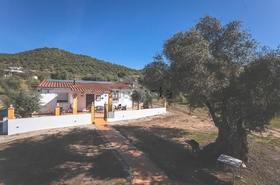 Casa Rural Los Naranjo Jerez De Los Caballeros Eksteriør bilde